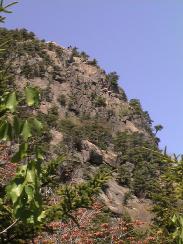 view_from_below1_thumb.jpg 12.3K